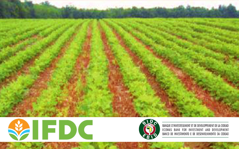 The International Fertilizer Development Center (IFDC) and EBID Collaborate to Improve Soil Health in West Africa